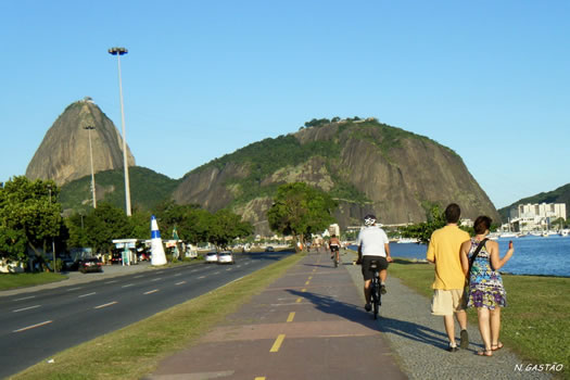 Back to Rio